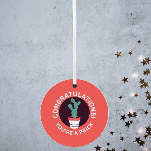 P8195 - You're A Pr*ck Humour Themed Funny Decorative Bauble Secret Santa Gift Idea