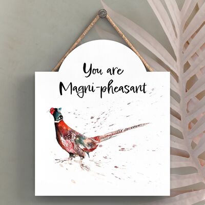 P8214 - Magni-pheasant Pheasant Meg Hawkins Illustration Wooden Home Decor Hanging Plaque