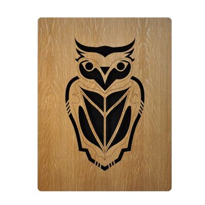 Owl - Wooden wall decoration - Limited edition