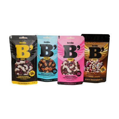 Berryline four - nuts and fruits in premium quality Nut mix
