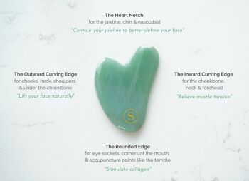 Scilla Rose-The Perfect Jade & Rose Quartz Gua Sha Set 6