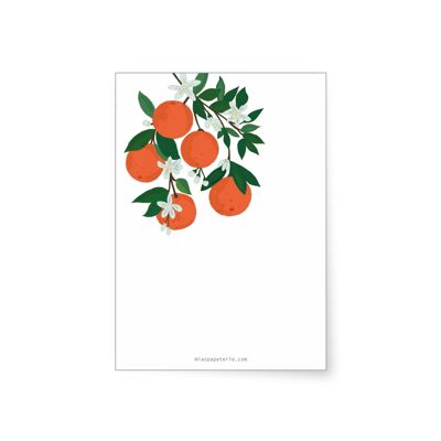 Orangen | Block DINA6