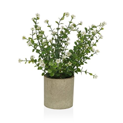 PLANTA DECORATIVA 25CM 22370008