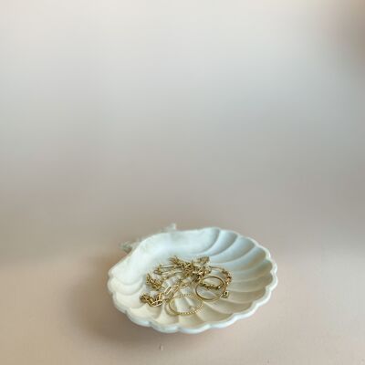 Shell Dish