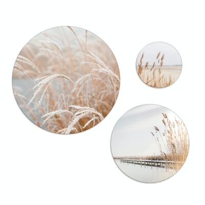Set of 3 wall circles / round wall pictures / picture set / pampas grass / beige