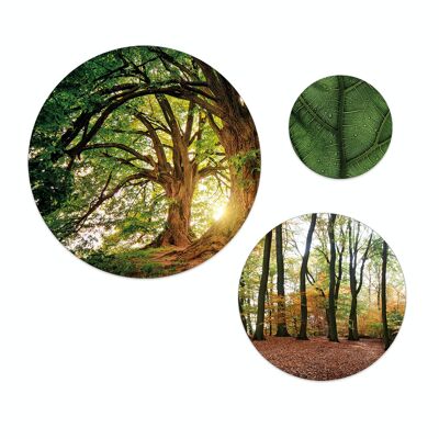 Set of 3 wall circles / round wall pictures / picture set / nature and forest green