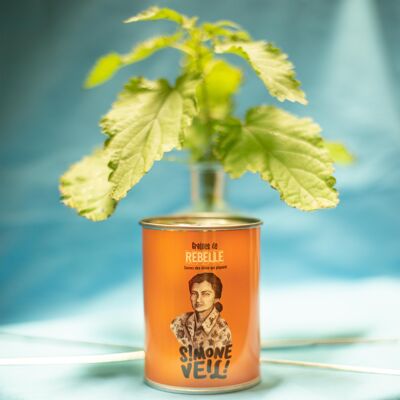 Sowing kit "Simone Veil" Made in France in collaboration with Arts dans la Peau