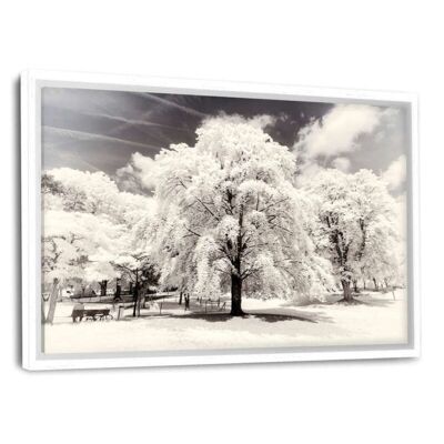 Paris Winter White - Árboles - Lienzo con espacio de sombra