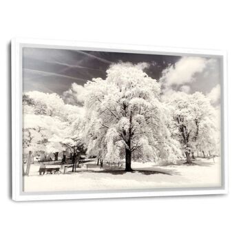 Paris Winter White - Arbres - Toile avec joint d'ombre 1