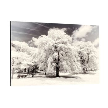 Paris Winter White - Arbres - Toile avec joint d'ombre 15