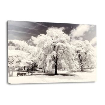 Paris Winter White - Arbres - Toile avec joint d'ombre 4
