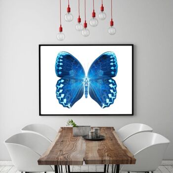 MISS BUTTERFLY FORMOSANA II - tableau sur toile avec espace d'ombre 23