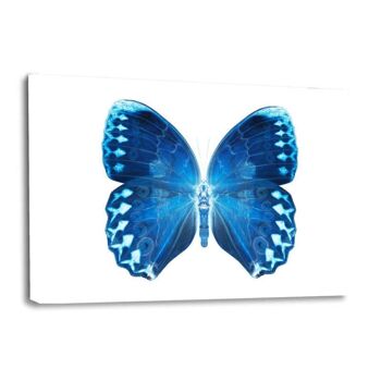 MISS BUTTERFLY FORMOSANA II - tableau sur toile avec espace d'ombre 4