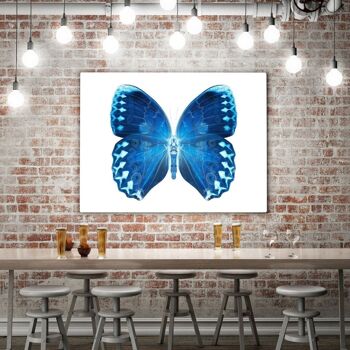 MISS BUTTERFLY FORMOSANA II - tableau sur toile avec espace d'ombre 12