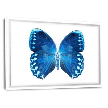 MISS BUTTERFLY FORMOSANA II - tableau sur toile avec espace d'ombre 28