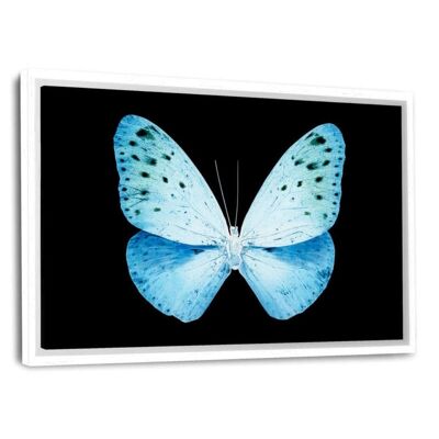 MISS BUTTERFLY EUPLOEA - Leinwandbild mit Schattenfuge