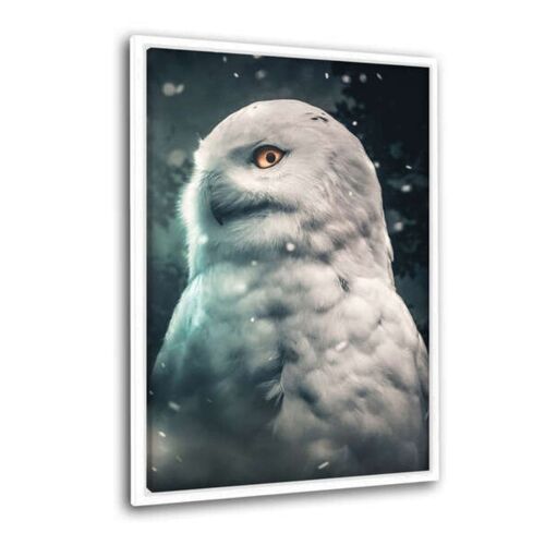 Snowy Owl - Leinwandbild mit Schattenfuge