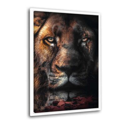 Lion Scar - Leinwandbild mit Schattenfuge