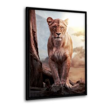 Lionne - tableau sur toile avec espace d'ombre 21