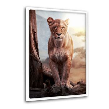 Lionne - tableau sur toile avec espace d'ombre 1
