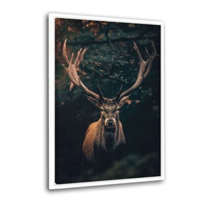 Moody Deer - Leinwandbild mit Schattenfuge