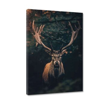 Moody Deer - Toile avec espace d'ombre 24