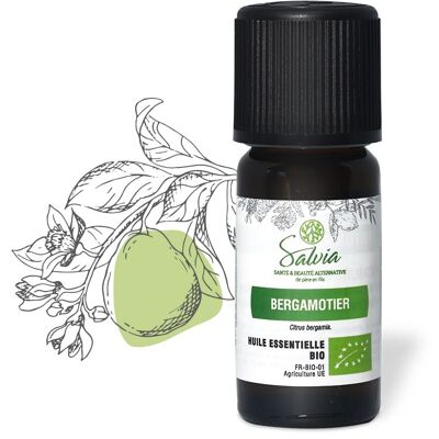 Árbol de bergamota - Aceite esencial orgánico