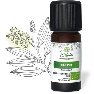 Cajeput - Aceite esencial orgánico