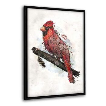Cardinal - toile avec espace d'ombre 21