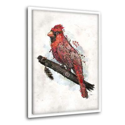 Cardinal - Leinwandbild mit Schattenfuge