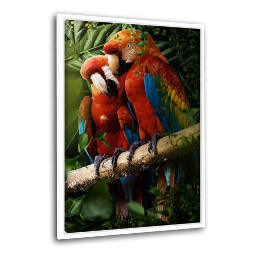 Beautiful Parrots - Leinwandbild mit Schattenfuge