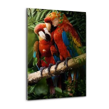 Beaux perroquets - Toile avec espace d'ombre 15
