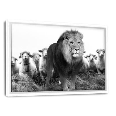 Lion Among Sheep - Canvas with shadow gap