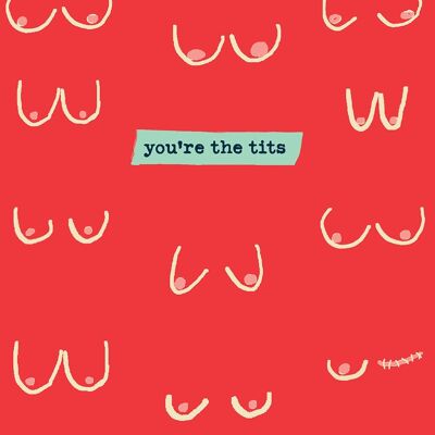 'You're The Tits' Greetings Card