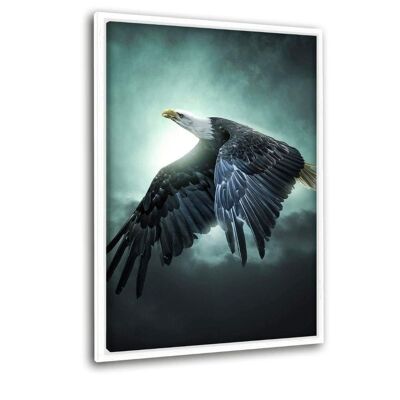 Flying Eagle - canvas picture with shadow gap