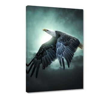 Flying Eagle - tableau sur toile avec espace d'ombre 14