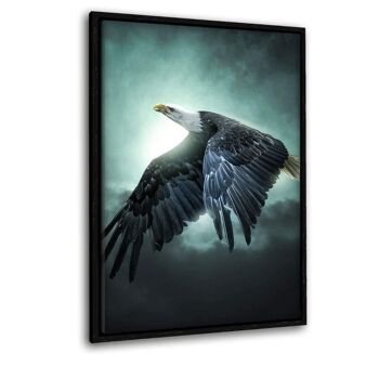 Flying Eagle - tableau sur toile avec espace d'ombre 7