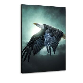 Flying Eagle - tableau sur toile avec espace d'ombre 5