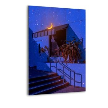 Moonlight 2 - image sur toile avec espace d'ombre 6