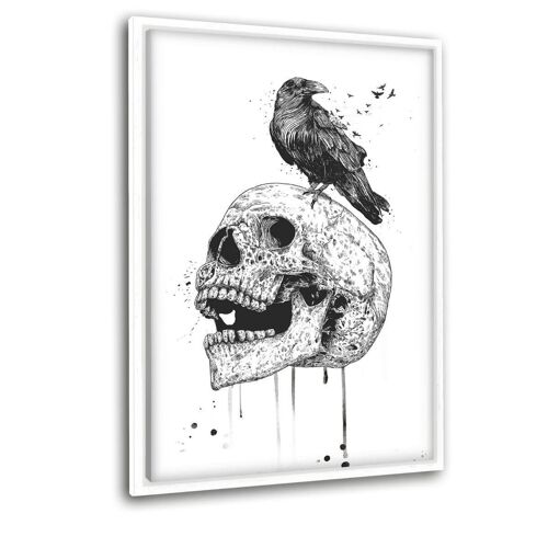 The Skull b/w - Leinwandbild mit Schattenfuge