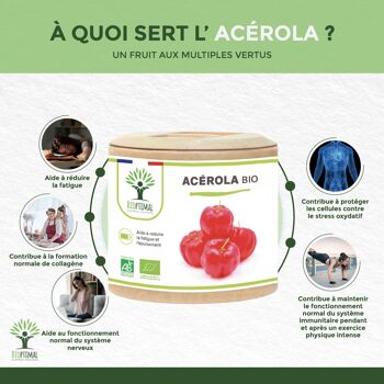 Acérola Bio - Complément alimentaire - Vitamine C - Anti-fatigue Système immunitaire - Extrait d'Acérola en gélules - Fabriqué en France - Vegan - gélules 3