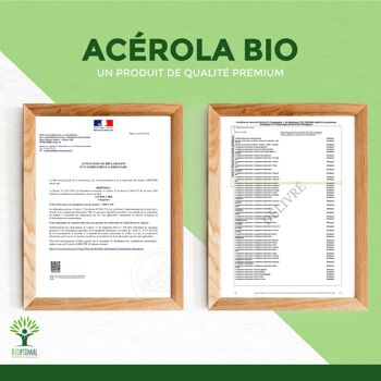 Acérola Bio - Complément alimentaire - Vitamine C - Anti-fatigue Système immunitaire - Extrait d'Acérola en gélules - Fabriqué en France - Vegan - gélules 9