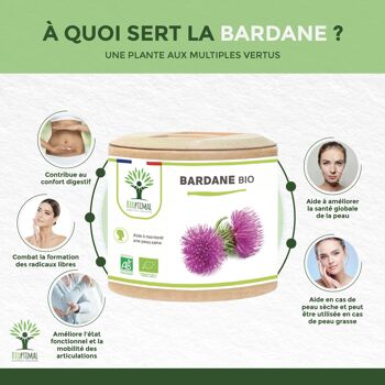Bardane Bio - Arctium Lappa - Complément alimentaire - Santé de la peau Digestion - Racine de Bardane Pure - Fabriqué en France - Certifié Ecocert - gélules 3