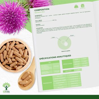 Bardane Bio - Arctium Lappa - Complément alimentaire - Santé de la peau Digestion - Racine de Bardane Pure - Fabriqué en France - Certifié Ecocert - gélules 6