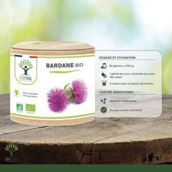 Bardane Bio - Arctium Lappa - Complément alimentaire - Santé de la peau Digestion - Racine de Bardane Pure - Fabriqué en France - Certifié Ecocert - gélules 7