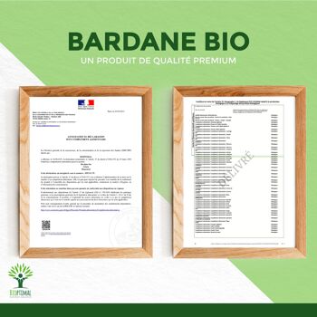 Bardane Bio - Arctium Lappa - Complément alimentaire - Santé de la peau Digestion - Racine de Bardane Pure - Fabriqué en France - Certifié Ecocert - gélules 9