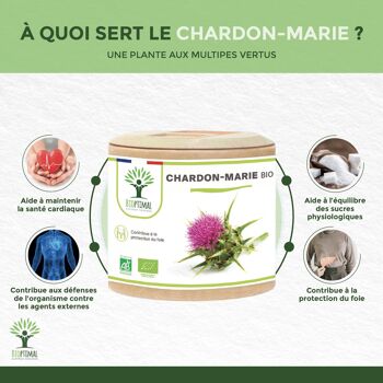 Chardon Marie Bio - Complément alimentaire - Foie Digestion Glycémie Défenses immunitaires - Fabriqué en France - Certifié Ecocert - Gélules - Vegan - gélules 3