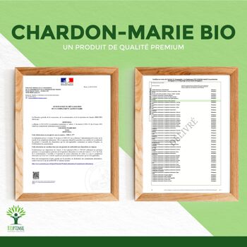 Chardon Marie Bio - Complément alimentaire - Foie Digestion Glycémie Défenses immunitaires - Fabriqué en France - Certifié Ecocert - Gélules - Vegan - gélules 9