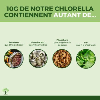 Chlorella Bio - Complément Alimentaire - Protéines Vitamine B12 - Poudre Chlorelle Pure - Comprimés - Conditionné en France- Certifié Ecocert - Vegan - en comprimés 11