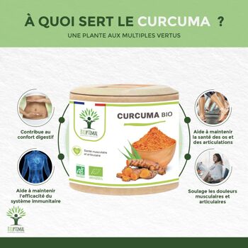 Curcuma + Poivre Noir Bio - Complément Alimentaire - Articulation Digestion - Curcumine Pipérine - Haute Absorption - Fabriqué en France - gélules 3